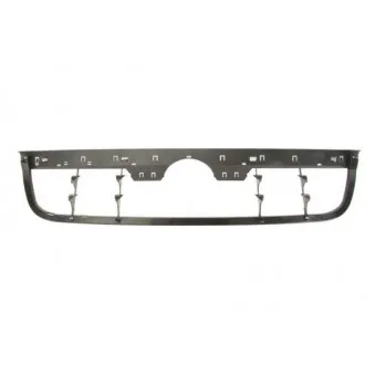 Grille de radiateur BLIC 6502-07-9542996P