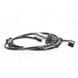 Capteur, vitesse de roue AIC 51173 - Visuel 2