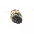 Sonde de température, liquide de refroidissement AIC 51911 - Visuel 2