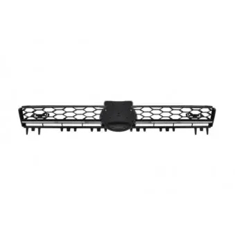 Grille de radiateur BLIC 6502-07-9550991P