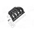 Module de tube d'admission AIC 53000Set - Visuel 2