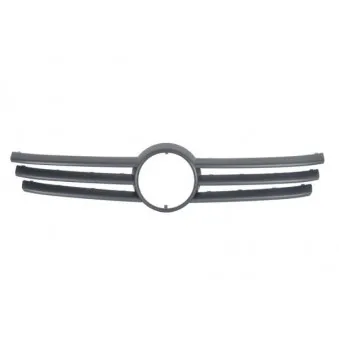 Grille de radiateur BLIC 6502-07-9568996P