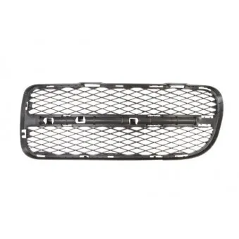 Grille de ventilation, pare-chocs BLIC 6502-07-9585919P
