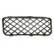 Grille de ventilation, pare-chocs avant gauche BLIC 6502-07-9585919PP - Visuel 1