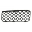 Grille de ventilation, pare-chocs avant gauche BLIC 6502-07-9585919PP - Visuel 2
