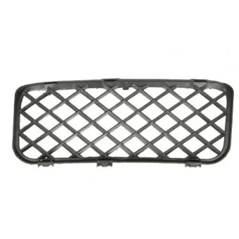 Grille de ventilation, pare-chocs avant droit BLIC 6502-07-9585920PP