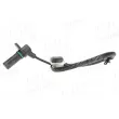 Capteur d'angle, vilebrequin AIC 55306 - Visuel 2