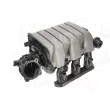 Module de tube d'admission AIC 57292 - Visuel 1
