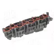 Module de tube d'admission AIC 58238 - Visuel 3