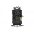 Ressort pneumatique, châssis AIC 71034 - Visuel 3