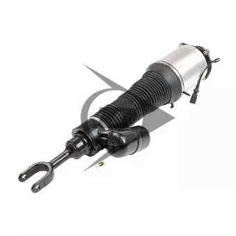 Armortisseur pneumatique avant droit AIC 71073