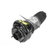 Ressort pneumatique, châssis AIC 71112 - Visuel 2