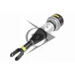 Armortisseur pneumatique AIC 71117 - Visuel 1