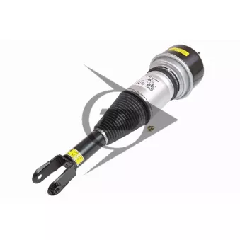 Armortisseur pneumatique AIC 71117