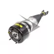 Armortisseur pneumatique AIC 71117 - Visuel 2