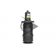Ressort pneumatique, châssis AIC 71121 - Visuel 3