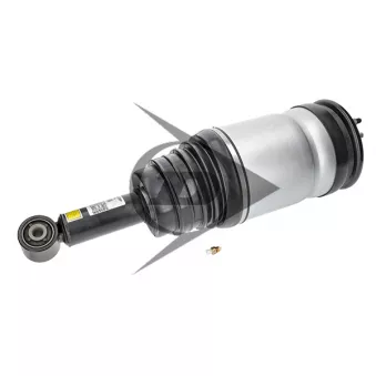 Armortisseur pneumatique AIC 71139