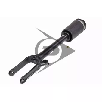 Armortisseur pneumatique AIC 71164