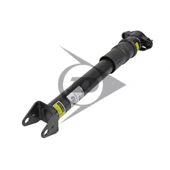 Armortisseur pneumatique AIC 71167