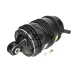Ressort pneumatique, châssis AIC 71183 - Visuel 2