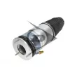 Ressort pneumatique, châssis AIC 71233 - Visuel 2