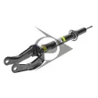 Armortisseur pneumatique AIC 71470 - Visuel 2