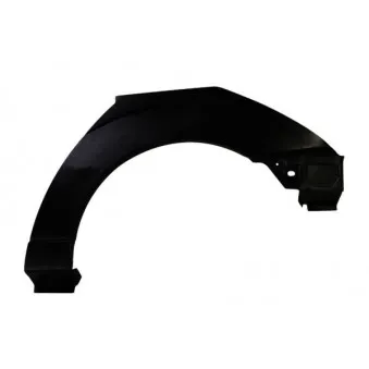 Doublure d'aile arrière gauche BLIC