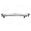 Radiateur, refroidissement du moteur AIC 71729 - Visuel 3