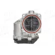 Corps papillon AIC 71898 - Visuel 2