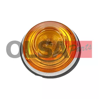 Feu clignotant AIC 72153