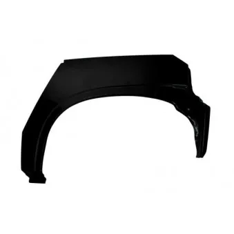 Doublure d'aile arrière gauche BLIC 6504-03-5022591P