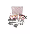 Kit de distribution par chaîne AIC 73594Set - Visuel 1