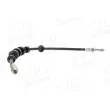 Flexible de frein AIC 73925 - Visuel 2