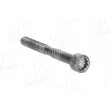 Vis, axe de culbuteur AIC 73993 - Visuel 2