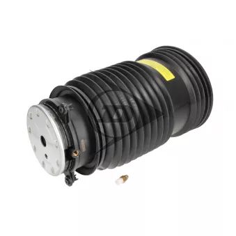 Ressort pneumatique, châssis arrière gauche AIC 74260