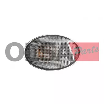 Feu clignotant AIC 75018