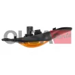 Feu clignotant avant droit AIC 75032 - Visuel 2