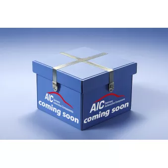 Fusée d'essieu, suspension de roue avant gauche AIC 75081