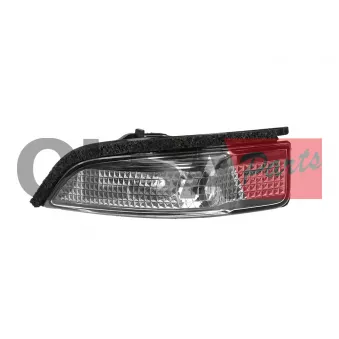 Feu clignotant AIC 75439