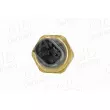 Capteur, pression de carburant AIC 75555 - Visuel 2