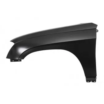 Aile avant gauche BLIC