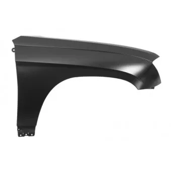 Aile avant droit BLIC