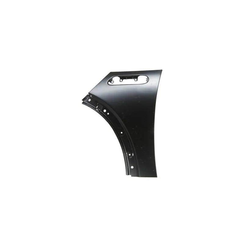 Aile avant gauche BLIC 6504-04-4001311P