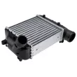 Intercooler, échangeur TEKNÖR CNG-AU-013 - Visuel 1