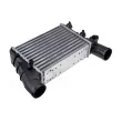 Intercooler, échangeur TEKNÖR CNG-AU-015 - Visuel 1