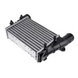 Intercooler, échangeur TEKNÖR CNG-AU-015 - Visuel 2