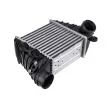 Intercooler, échangeur TEKNÖR CNG-AU-016 - Visuel 1