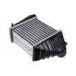 Intercooler, échangeur TEKNÖR CNG-AU-016 - Visuel 2