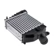 Intercooler, échangeur TEKNÖR CNG-AU-017 - Visuel 2
