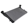 Intercooler, échangeur TEKNÖR CNG-AU-018 - Visuel 1
